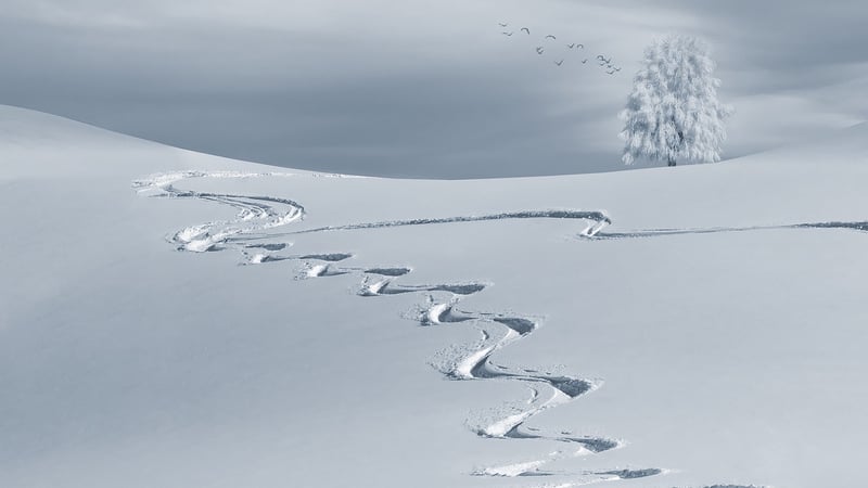 Winter Snow